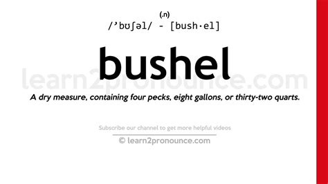 Busal Meaning .
